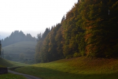 Wolftal im Herbst