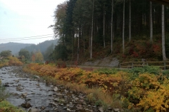 Wolftal im Herbst