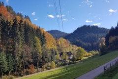 Herbststimmung im Tiefenbach