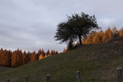 Wolftal im Herbst