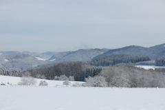 Winterlandschaft