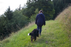 Wandern im Wolftal_klein